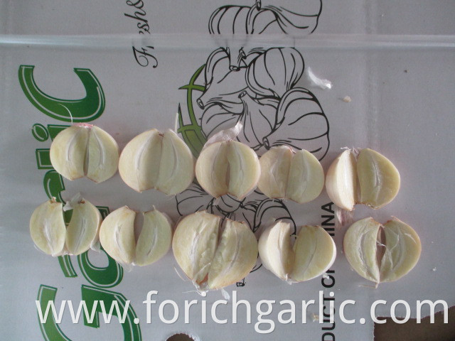 Garlic Normal Of Jinxiang